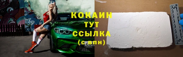 тгк Абаза