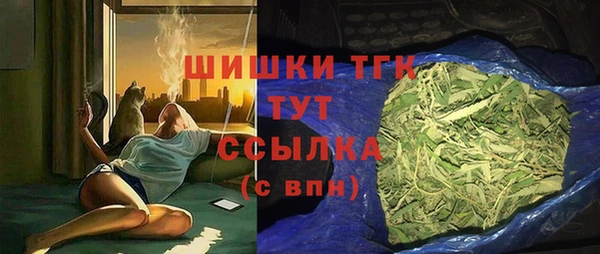 тгк Абаза