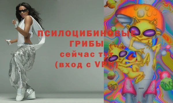 тгк Абаза