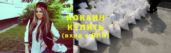тгк Абаза