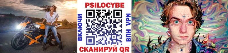 блэк спрут вход  Электросталь  Галлюциногенные грибы Psilocybe 